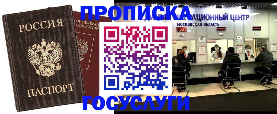 прописка поиск в Купино