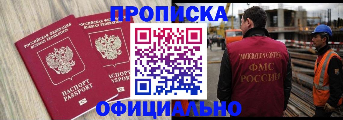прописка поиск в Купино